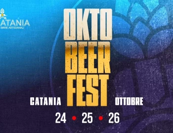 Medical and Brain Image Analysis